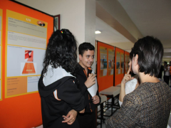 Evrensel Kolej